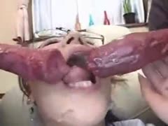 Two animal sex toys are being enjoyed by an Asian bitch.